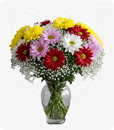 Mixed Coloured Chrysanthemums/Gypso bouquet