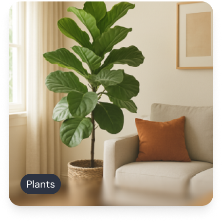 Plants gift category
