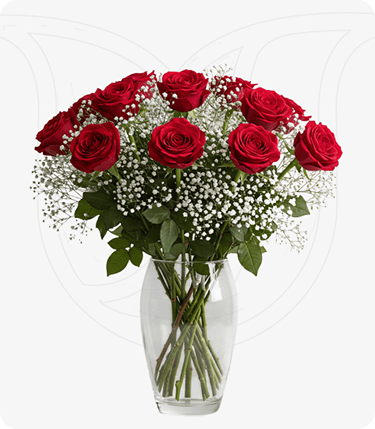Red Roses/Gypso bouquet